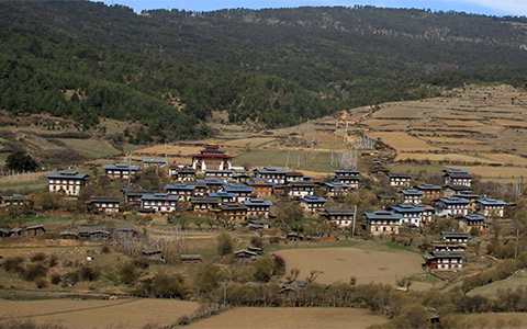 bhutan tour