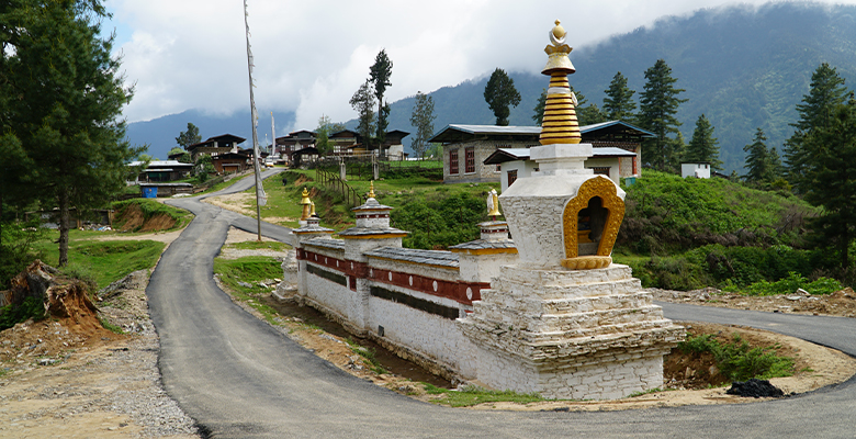 Road to Gangtey