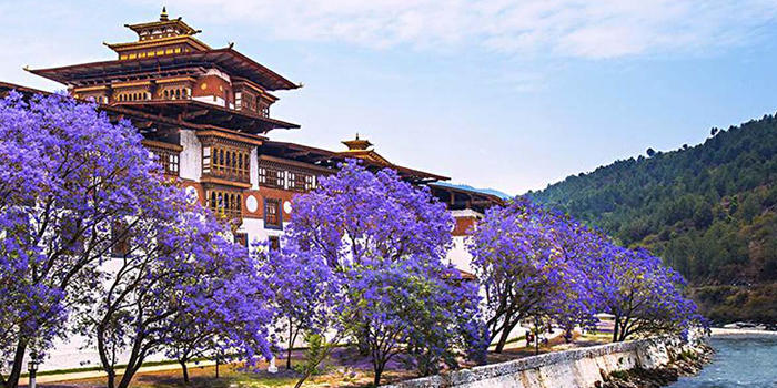 5 Days Essential West Bhutan Honeymoon Tour