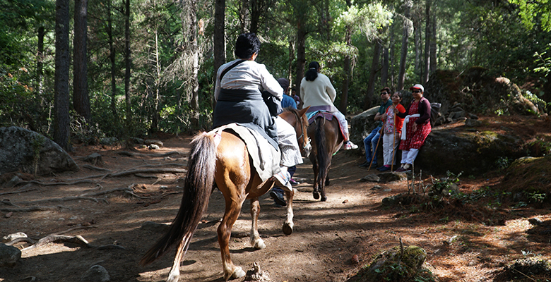 Tiger's Nest Monastery Horse Ride