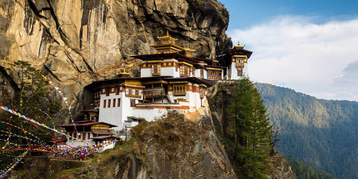 10 Days West Bhutan Nature Tour with Bumdrak Trek