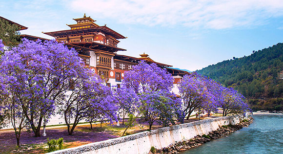 Go for Bhutan Photo Tours with Us Go for Bhutan Photo Tours with Us