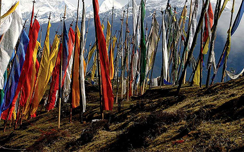 bhutan tour
