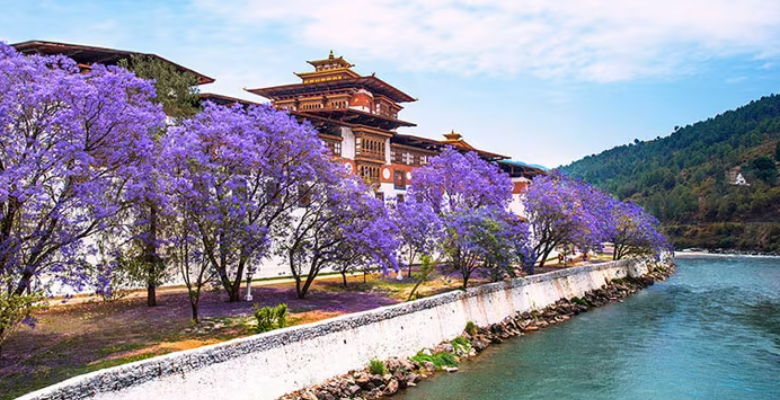 The stunning scenery of Punakha in spring