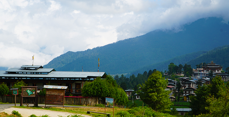 Visit Gangtey in a good season