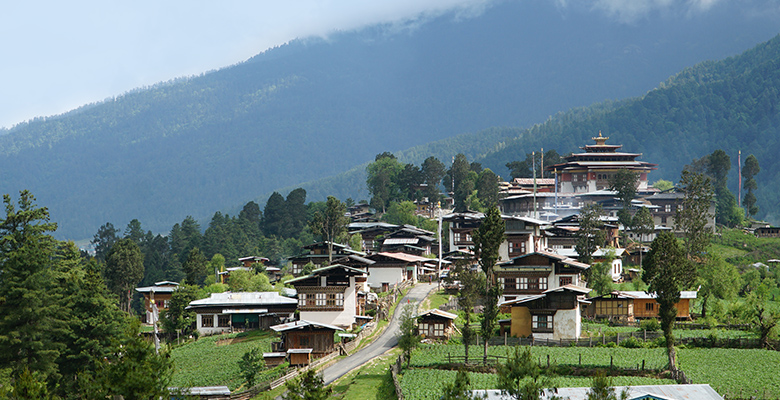 Scenic Road to Gangtey