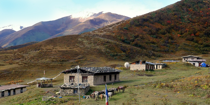 10 Days Bumthang Owl Trek
