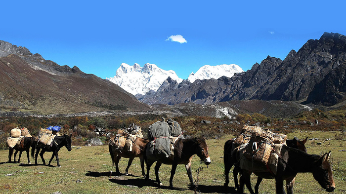 16 Days Jomolhari Laya Gasa Trek in Bhutan