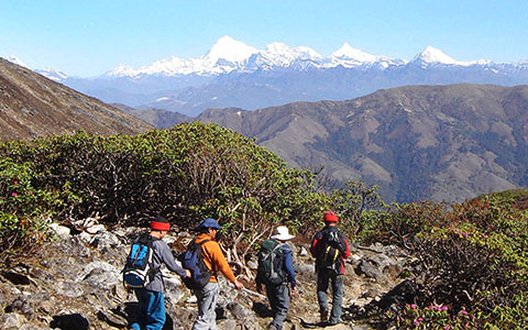 bhutan tour